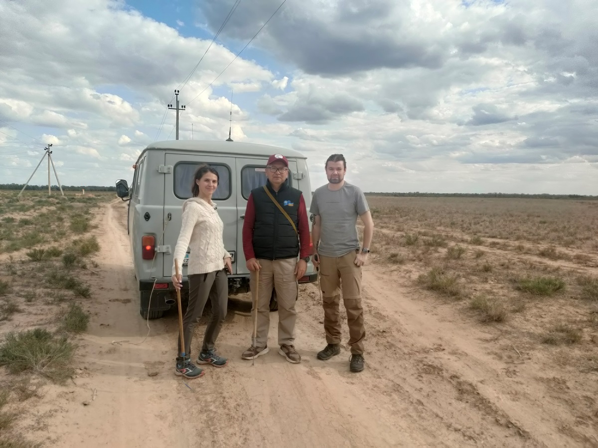 First records of mites of the genus Geckobia Mégnin (Acariformes: Prostigmata: Pterygosomatidae) in Kazakhstan with description of a new species